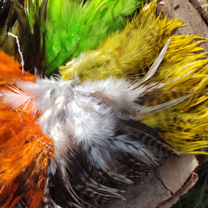 Plumas Grizzly Para el Atado de Moscas